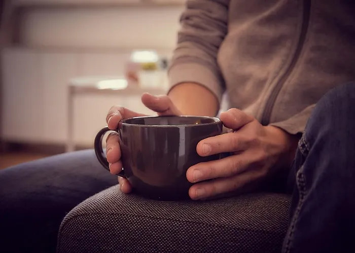 Appartement Gemuetliche In Zentraler Lage Graz